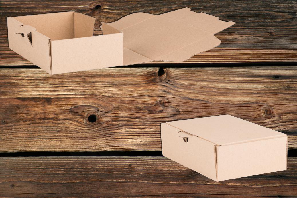 Maxibriefboxen 160x110x50 mm 1-wellig Braun